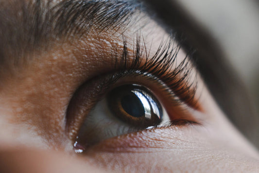 Alasan Mengapa Kamu Membutuhkan Lashes Easy Fanning