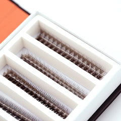 Lavere Lash Eyelash Extension Hollywood Mink Premade Mix Sized Tray