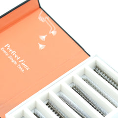 Lavere Lash Eyelash Extension Hollywood Mink Premade Mix Sized Tray