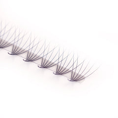 Lavere Lash Eyelash Extension Hollywood Mink Premade Mix Sized Tray