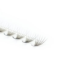 Lavere Lash Eyelash Extension Hollywood Mink Premade Single Sized Tray