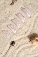 Seashell Silicone | Perfect C Curl Lift Silicone