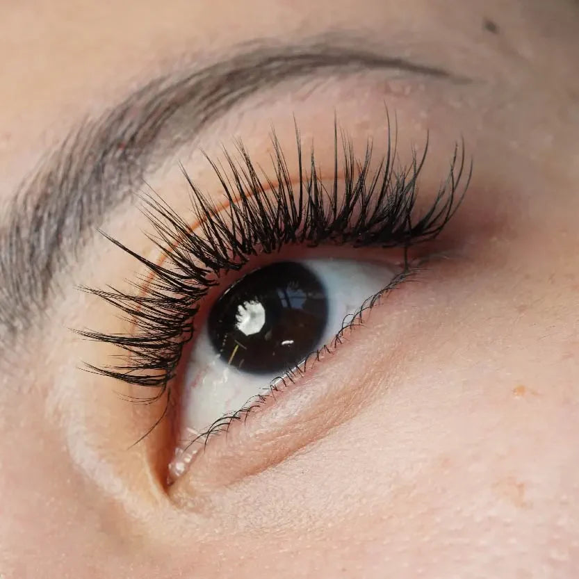Chinese Lash Mastery Class Jakarta by Lavere Academy – Lavere Lash