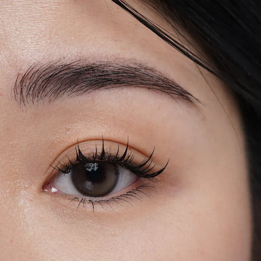 Hasil model hasil natural brow