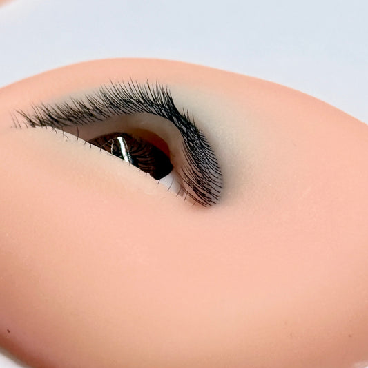 NEW! Open Eye Mannequin | Two Eyes | for Manhua and Douyin Lash